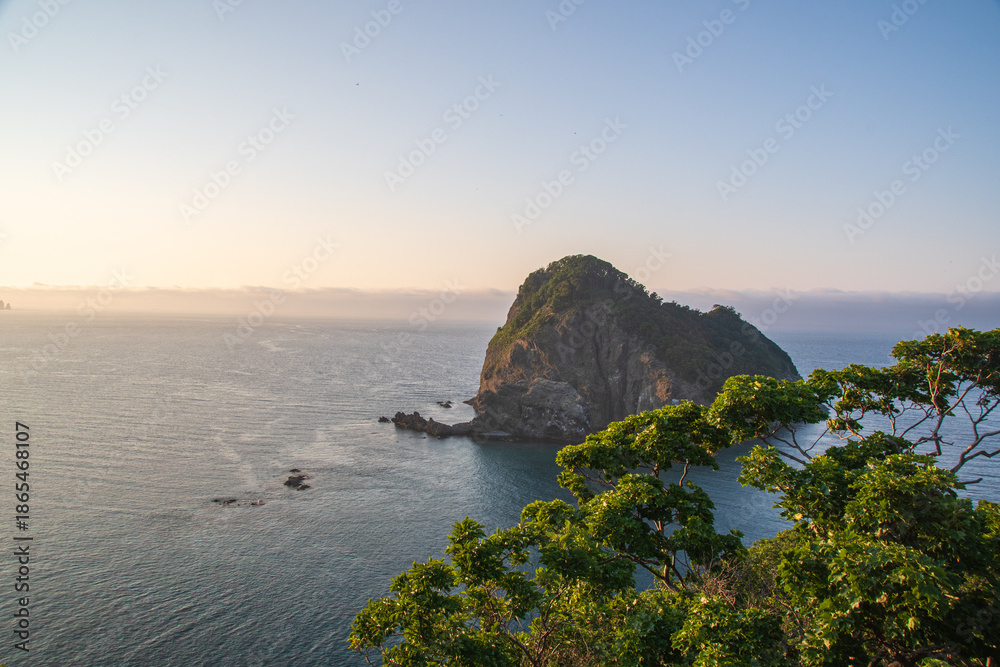 Fototapeta premium path in the woods