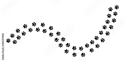 Wavy track of wet or mud paw prints of dog, cat, bear or wolf. Paw silhouettes. Steps of running or walking wild animals on snow or ground isolated on white background. Vector graphic illustration.