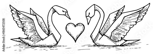 Two swans forming a heart shape floating on water sketch