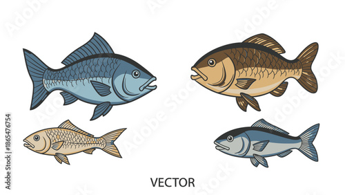 Vector Illustration of Four Different Types of Fish on White Background
