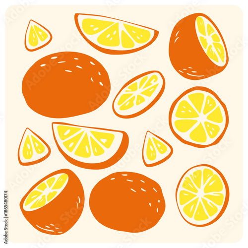 Fresh Sliced Orange and Lemon Citrus Fruit Doodle Elements