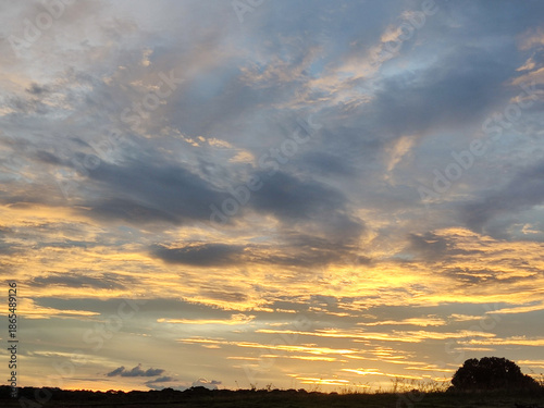 sunset over the field