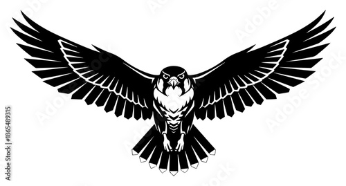 Front view of a flying eagle or falcon with wide spread wings in vector style