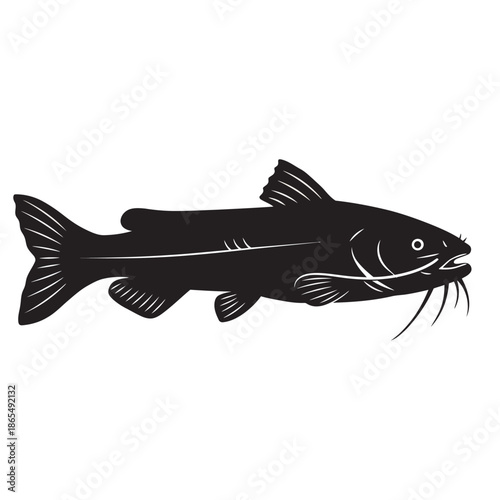 Fresh raw catfish with distinctive whiskers isolated on a white background, highlighting its aquatic features for fishing and culinary concepts