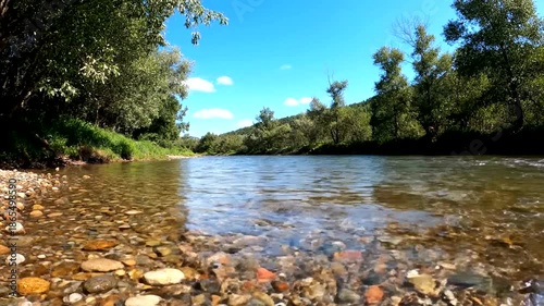 Crystal Clear River Flowing Through a Lush Green Forest.
