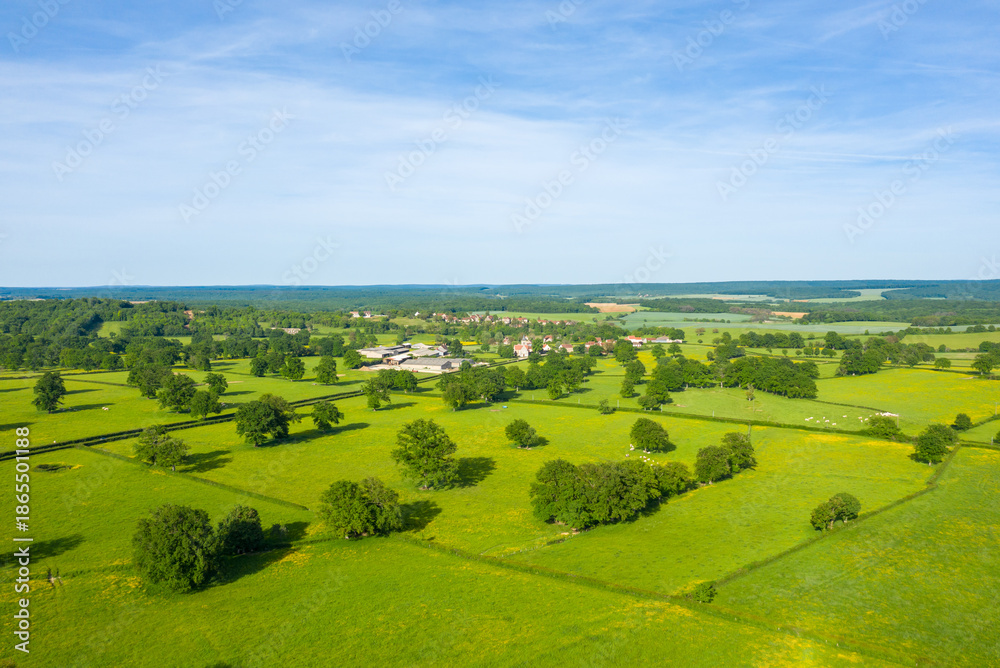 Obraz premium Aerial panorama of lush green fields interspersed with hedgerows and scattered trees, with a small rural village visible in the distance under a clear blue sky near Cuncy les Varzy.