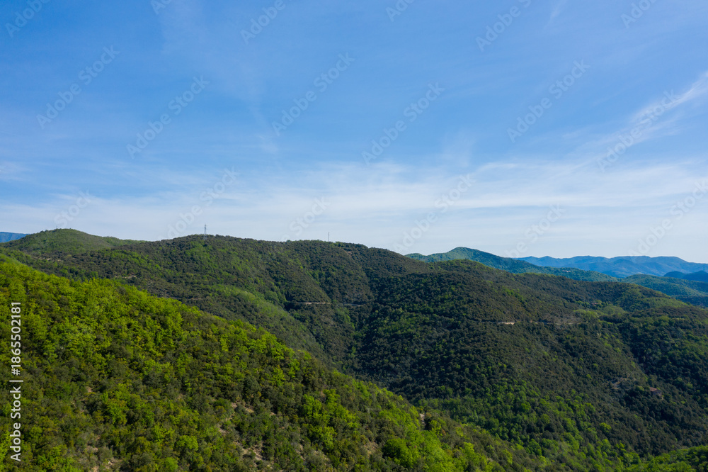 Fototapeta premium Wide aerial view of densely forested hills and valleys stretching beneath a bright blue sky in the Foret domaniale de la Vis. Sunlight enhances the vibrant green foliage and layered mountain landscape