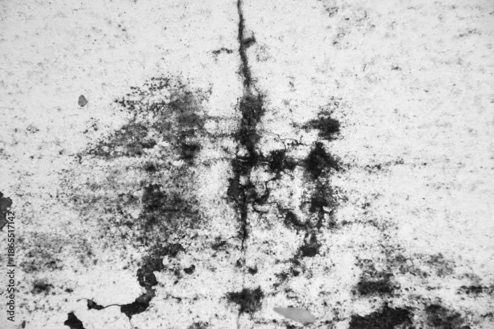 Fototapeta premium grunge abstract rough-textured concrete wall background.