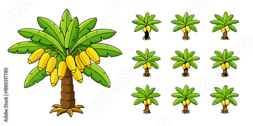 Tropical Banana Tree Vector Illustration Set, Exotic Banana Tree Collection in Flat Style