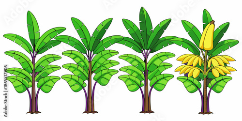Tropical Banana Tree Vector Illustration Set, Exotic Banana Tree Collection in Flat Style