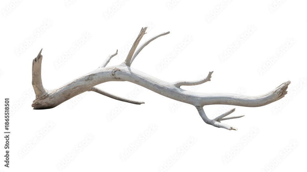 Obraz premium Driftwood branch on black background