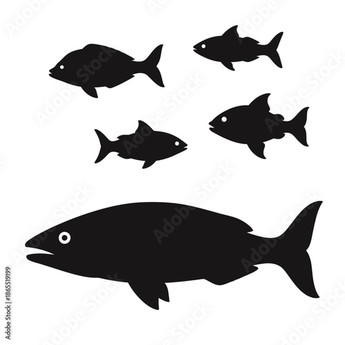 Silhouettes of fish in varying sizes swimming together a simple aquatic illustration