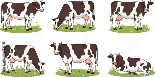Holstein dairy cow illustrations, grazing and resting cattle set, farm animal collection on grass, cartoon livestock drawings for agriculture themes