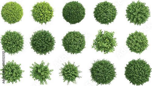 Large set of fifteen stylized circular top-down shrub and bush vectors in various green tones, perfect graphic elements for architectural floor plans, landscaping, site planning, and nature background