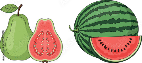 Summer fruit vector set featuring whole watermelon and guava with sliced sections showing red seeds and green outer skin.