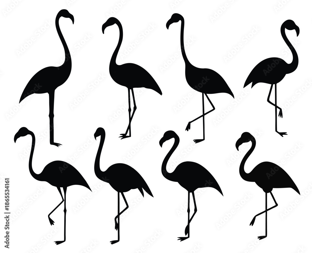 Fototapeta premium isolated flamingos silhouettes in various poses on white