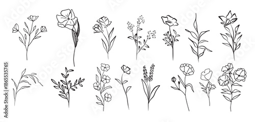 outline flowers collection vector graphics flowers drawing