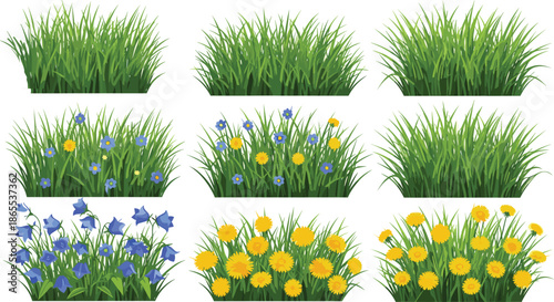 Grass patches with seasonal flower variations in density and color, botanical garden elements for nature design and landscaping visuals