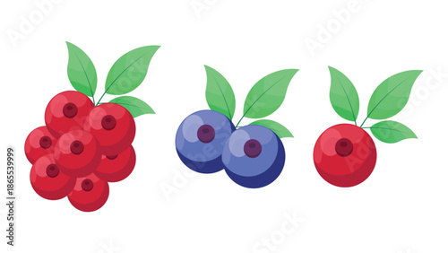 Berry fruit illustration set with red berries, blueberries, and green leaves