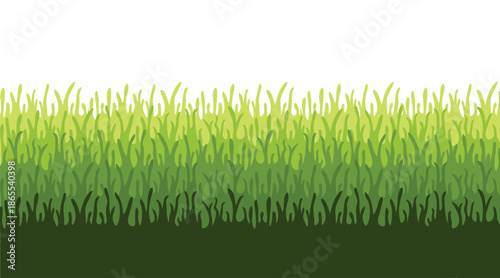 Green grass field border illustration with layered blades for nature background