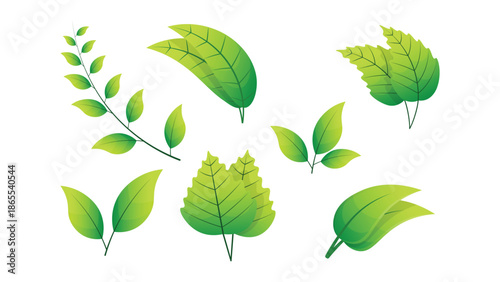 Green leaf illustration set with fresh botanical elements in flat style