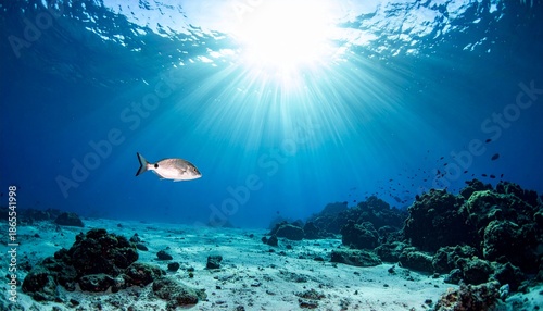open ocean underwater with visible light beams, rare deep-sea fish near surface