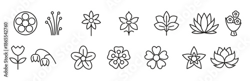 Flower line icon set. rose, tulip, daisy bouquet,  violet, jasmine, calendula, echinacea, iris, chamomile,  gardening,  landscaping, sunflower, lily, dandelion, chrysanthemum line icon