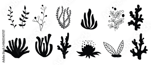 Set marine plants, corals and seaweed. Silhouettes of underwater reef plants. Vector in cartoon style.