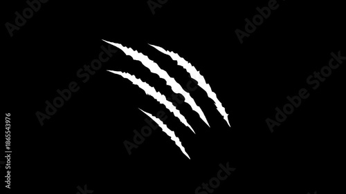 Animal claw scratching effect on a black screen. Animation of claws tearing a surface in 4K resolution with alpha channel.