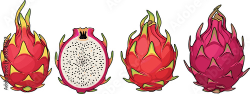 Tropical dragon fruit vector set featuring whole pitaya and a half cross-section with white flesh and black seeds isolated on white.