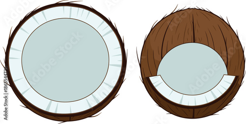 Tropical fruit vector set featuring a whole halved coconut shell and a large coconut slice with white flesh isolated on white.