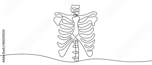 A single, continuous line of art: a human rib cage. line art Vector drawing style on a transparent background Editable stroke.