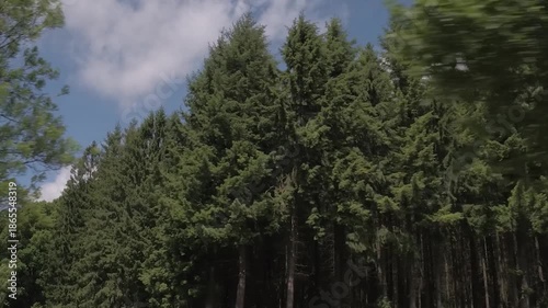 Cinematic Documentary Style Shot of the Ardennes in Belgium Europe