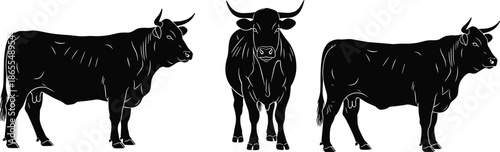 Black bull silhouette set showing horned cattle standing front side views isolated vector illustration farm animal wildlife livestock design collection