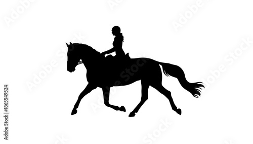 A silhouette of a woman riding a horse in a peaceful outdoor setting