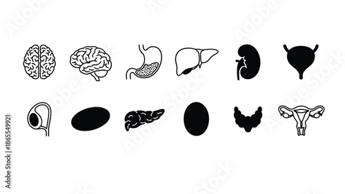 A collection of black and white medical illustrations of human organs