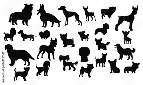 Dogs of Different Breeds