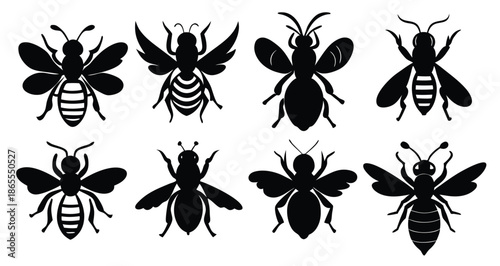 isolated bee silhouettes in various poses
