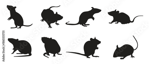 Animal silhouettes rat