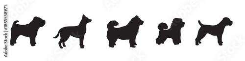 Dog pose set vector illustration