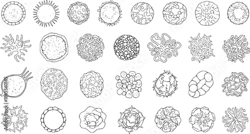 Abstract Biology  Science Hand-Drawn Line Art: Cells, Viruses, Microorganisms  Organic Shapes Collection