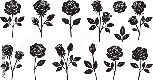 Set of 10 Black Rose Silhouettes Vector