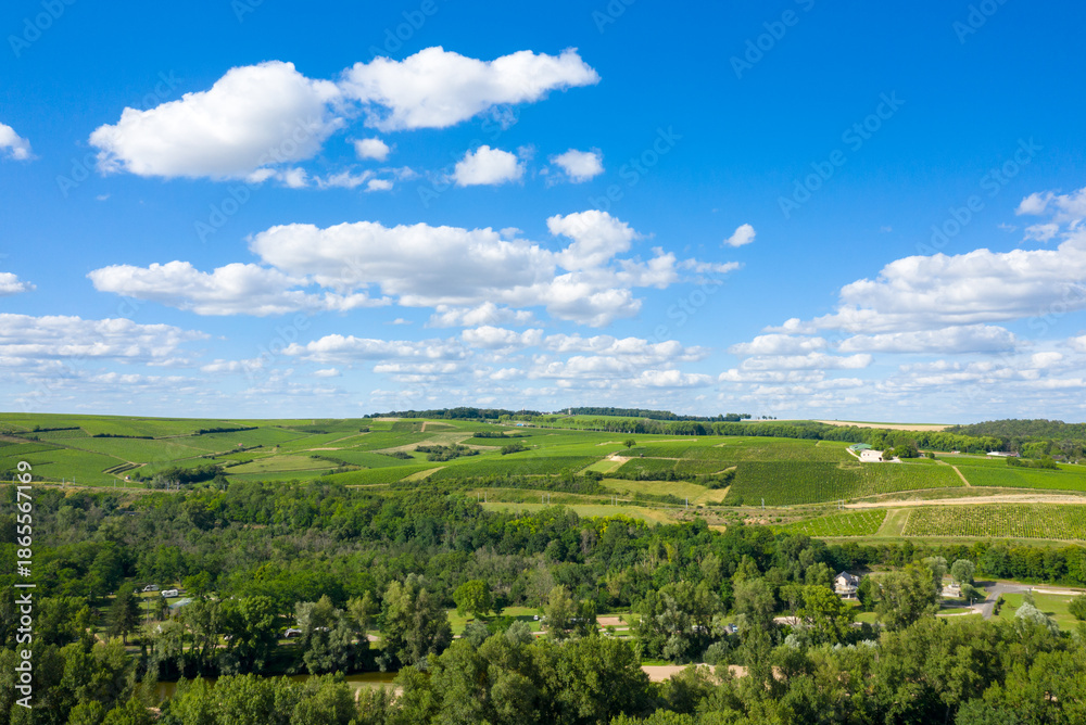 Obraz premium Sweeping view of green vineyards and forested patches beneath a vibrant blue sky scattered with puffy white clouds in Pouilly sur Loire. The landscape is sunlit, lush, and expansive, evoking a