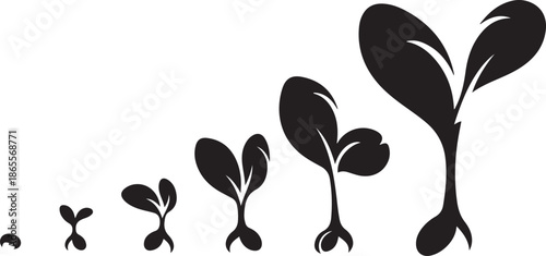 Plant Growth Stages Silhouette Illustration