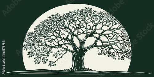 An elegant detailed illustration of a tree within an oval moonlit backdrop