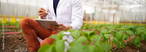 Cuadro en lienzo Agricultural developer handsome man trying different apps on tablet computer for advanced chemical inspection of greenhouse farm