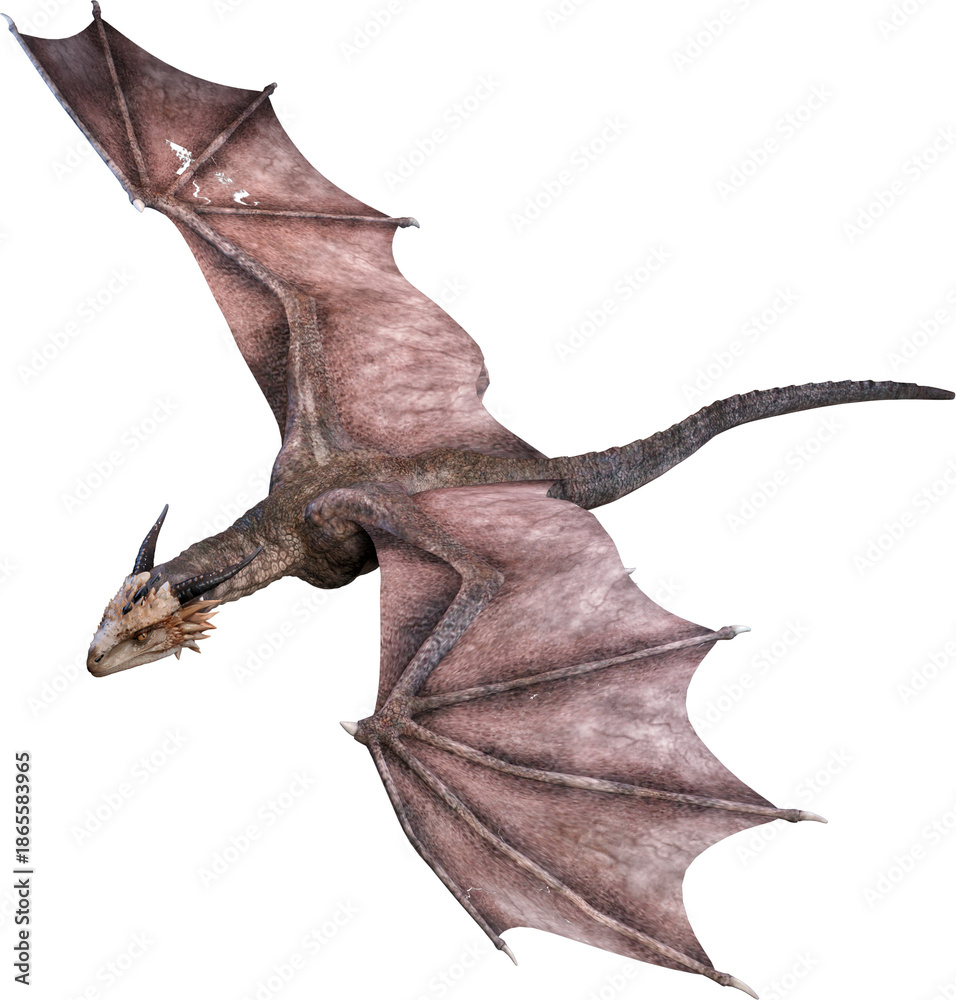 Fototapeta premium 3d render, fantasy dragon, mythological creature