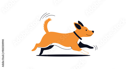 Energetic small brown dog with a black collar runs happily with its tail wagging and paws in motion on a plain white background.