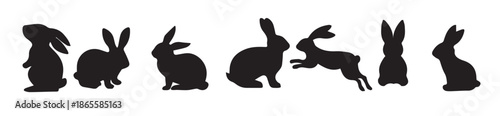 isolated rabbit shadow on white background set of different