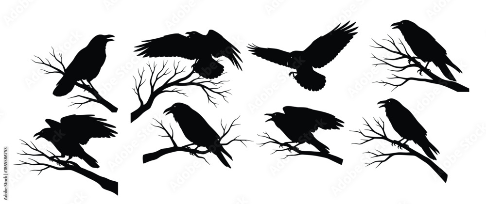 Obraz premium black silhouettes of ravens on branches 